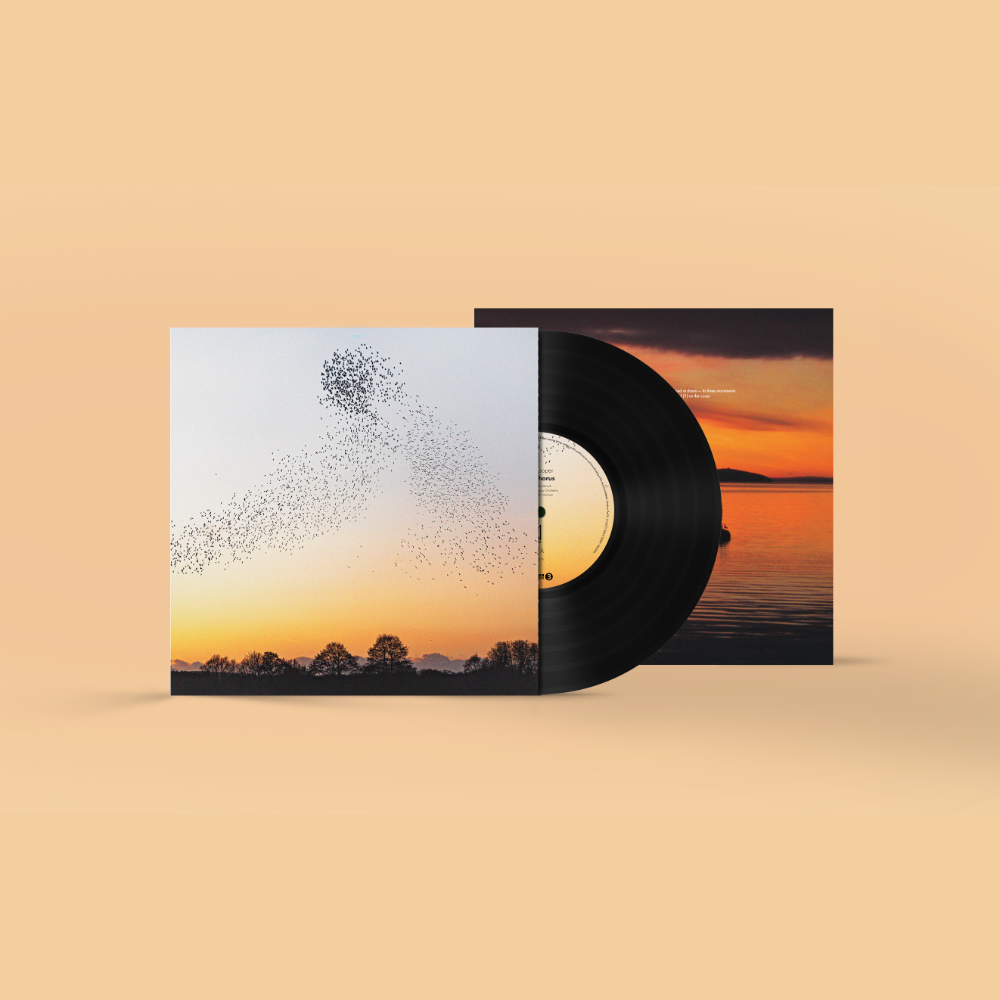 Erland Cooper: Dawn Chorus LP